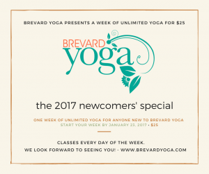 Brevard Yoga Center Brevard North Carolina